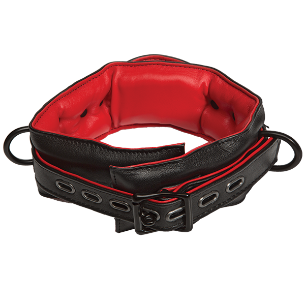 Kink Leather Handler's Collar