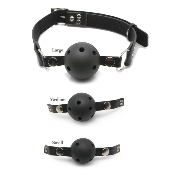 Pipe Dreams Fetish Fantasy Series Ball Gag Training System