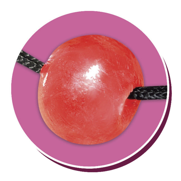 Pipe Dreams Bachelorette Party Favors Bridezilla Ball Gag