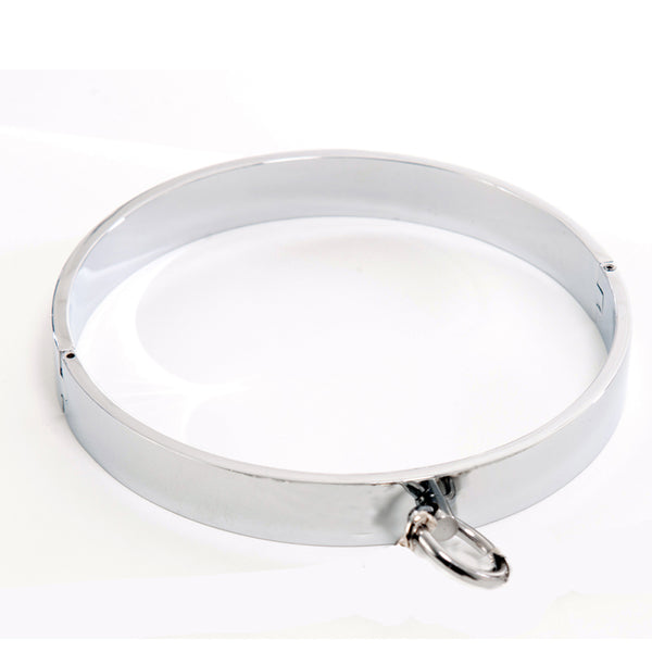 Rapture Novelties Polished Stainless Steel Collar