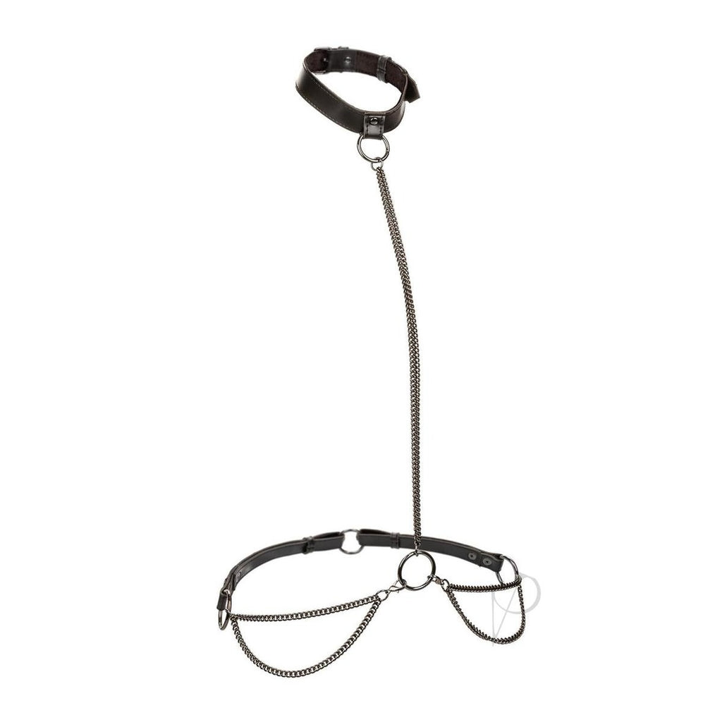 Euphoria Collection Chain Halter/collar and Leash - Black