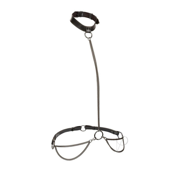 Euphoria Collection Chain Halter/collar and Leash - Black