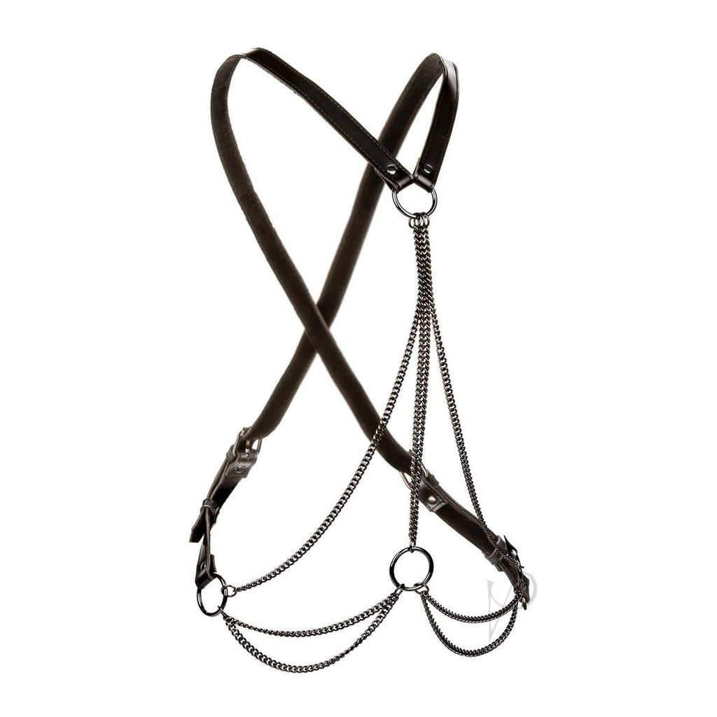 Euphoria Collection Plus Size Multi Chain Harness - Black