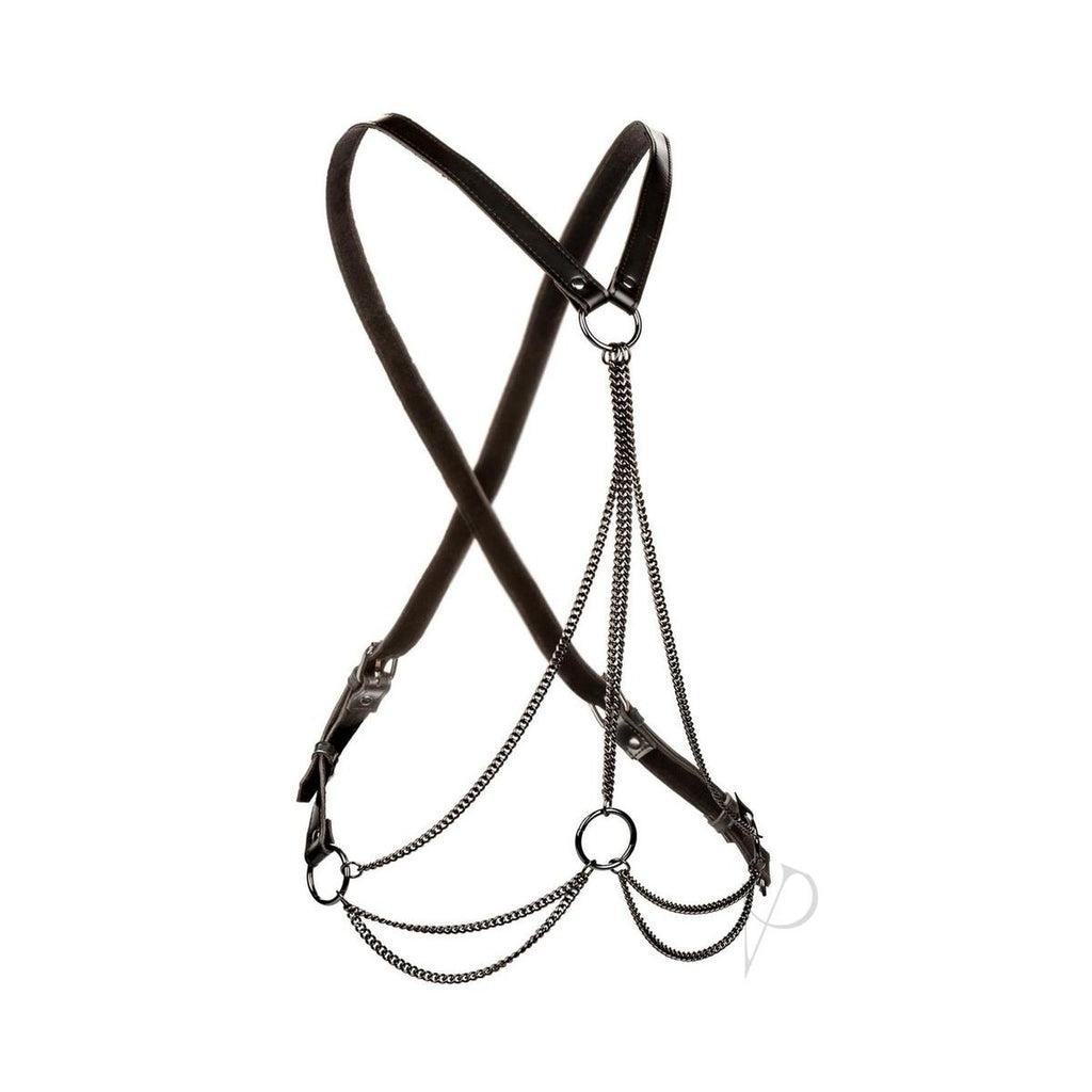 Euphoria Collection Multi Chain Harness - Black