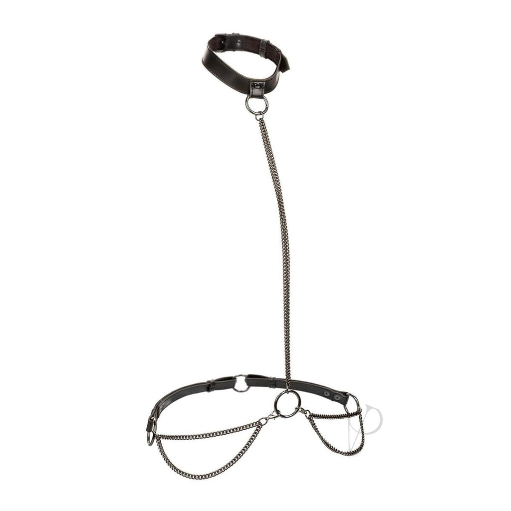 Euphoria Collection Plus Size Chain Halter/collar and Leash - Black