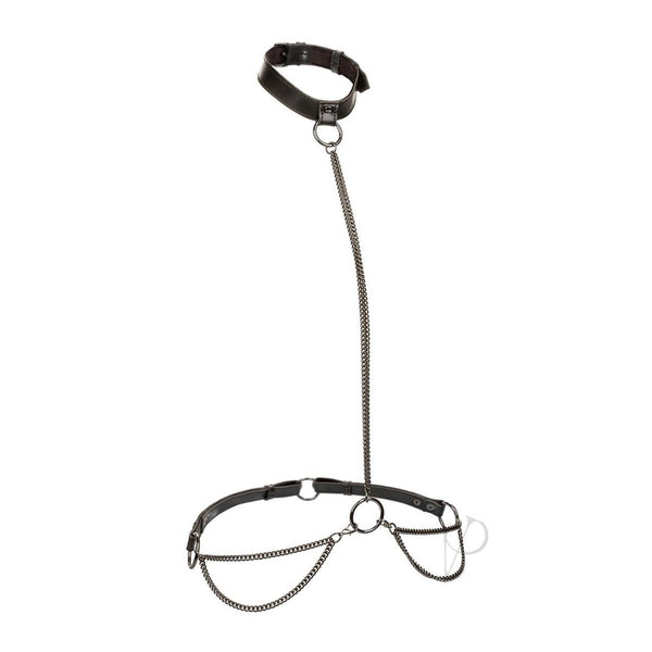 Euphoria Collection Plus Size Chain Halter/collar and Leash - Black