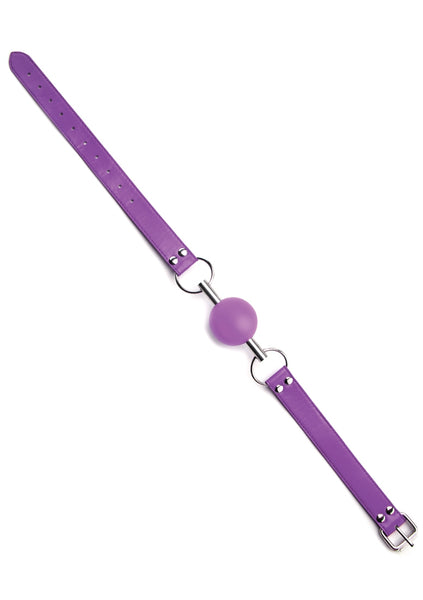 Solid Ball Gag - Purple