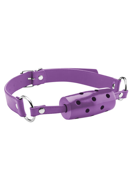 Cylinder Gag - Purple