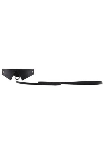 Classic Collar with Leash - Black