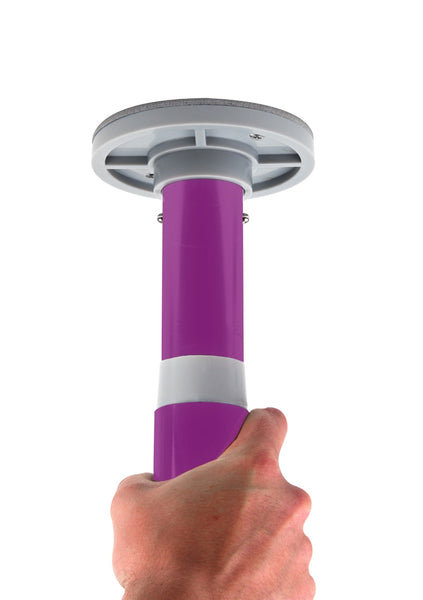 Professional Dance Pole - Purple