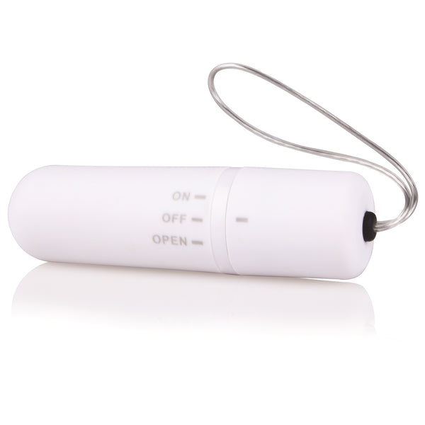 My Secret Screaming O Vibrating Panty Set - White - Each