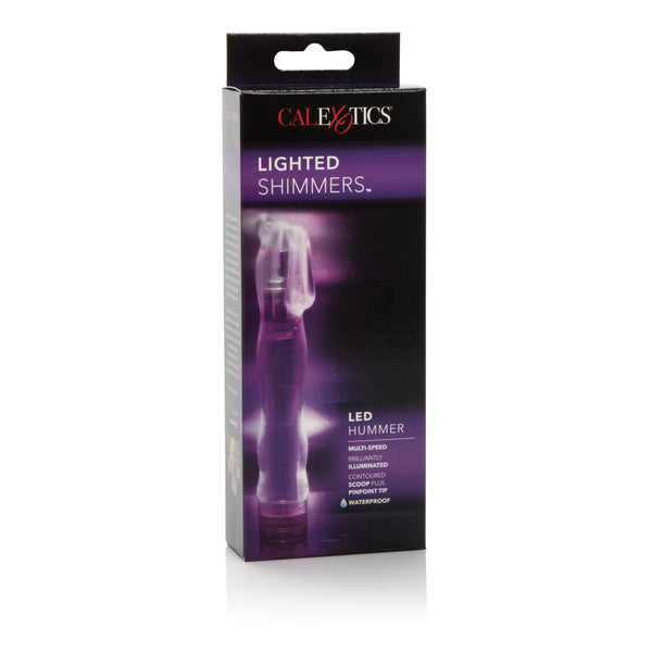 Lighted Shimmers Les Hummers - Purple