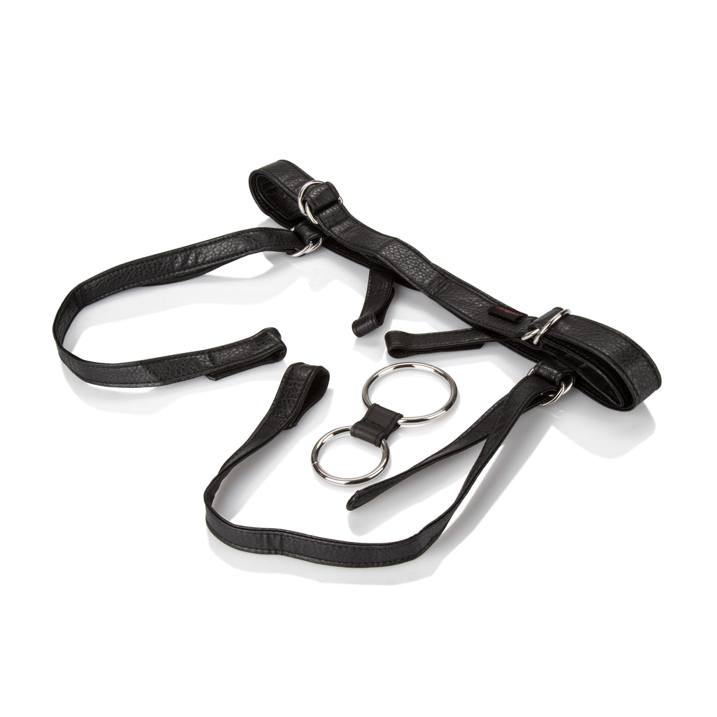 Her Royal Harness  -  the Dutchess