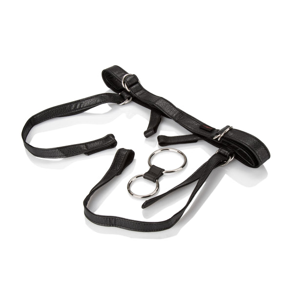 Her Royal Harness  -  the Dutchess
