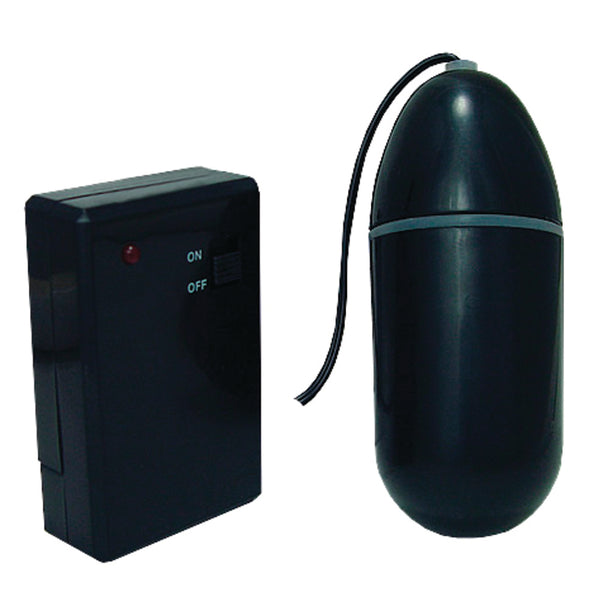 Pipe Dreams Waterproof Remote Control Bullet