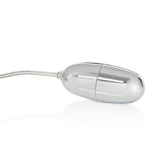Sterling Collection Combo Pack Silver Bullet With  2-Speed Controller