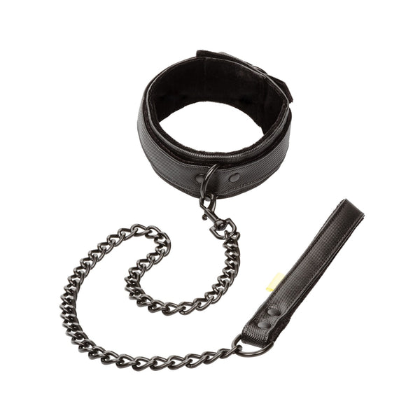 Boundless Collar & Leash