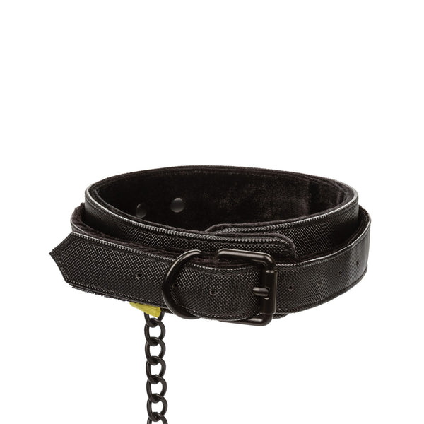 Boundless Collar & Leash