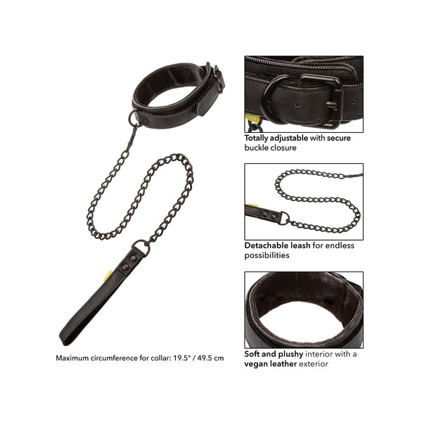 Boundless Collar & Leash